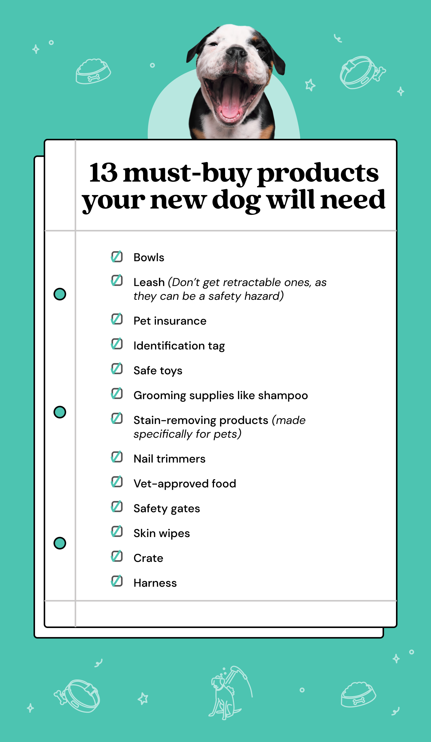 Items you need online for a puppy